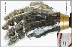Artificial Hand Prosthetic 