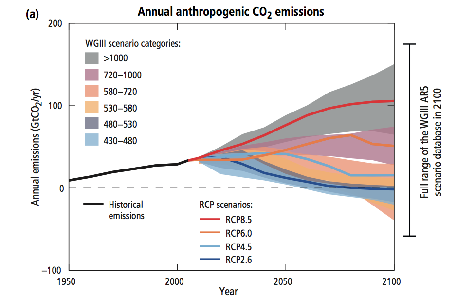 Greenhouse gas emissions from the IPCC. The red line represents the scenario with little to no implementation of mitigation or adaptation measures. The blue lines represent the projected increase in ppm if stringent mitigation and adaptation measures are implemented. 